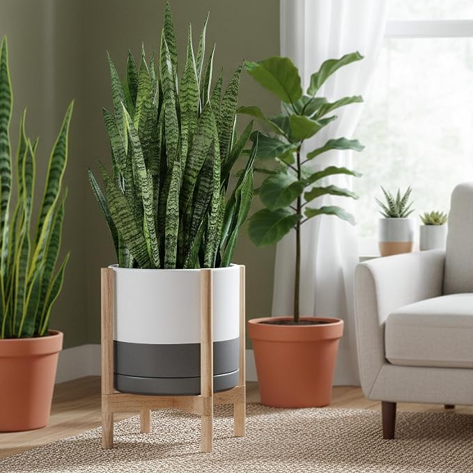 D'vine Dev Ceramic Pot with Natural Wood Stand, 14 in, 55-B-R-6 | Mid-Century - Image 2