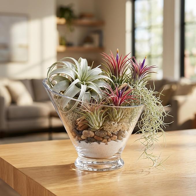 WGVI Slant Cut Calyx Glass Vase, Width 7.25", Height 6.25", Candy Dish - Image 7