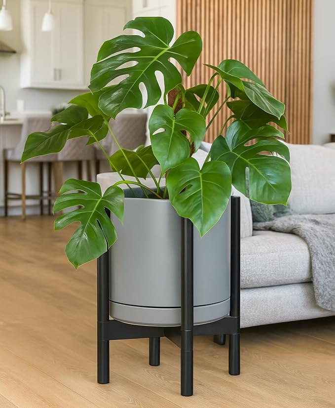 D'vine Dev Ceramic Pot with Ebony Wood Stand, 12 in, 55-B-H-3 | Mid-Century - Image 5