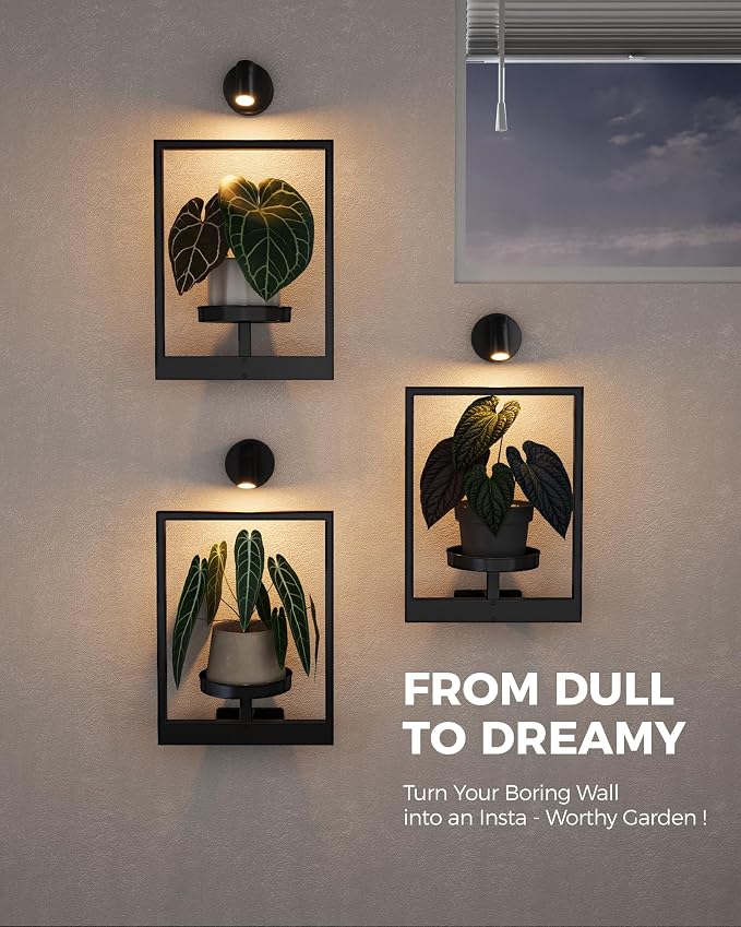 Bamworld Hanging Planters for Indoor Plants Wall Decor Living Room Light | - Image 5