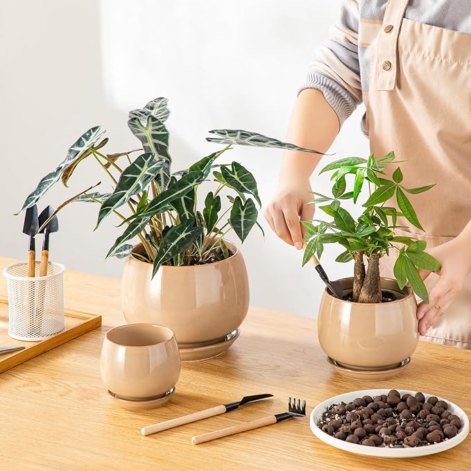 vancasso 3-Pack Ceramic Plant Pots, 3.7/4.8/6.2 Inch Indoor Planters - Image 4