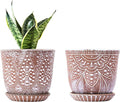 Gepege Ceramic Plant Pots, 6 Inch Indoor Planters by Gepege