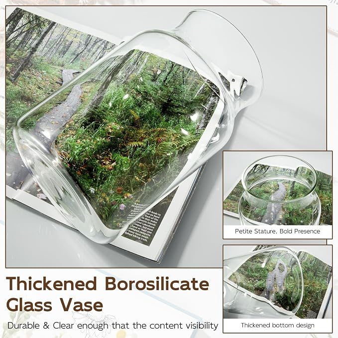 Clear Glass Vase, Large Flower Vase, 9-inch Glass Flower Vase - Image 6