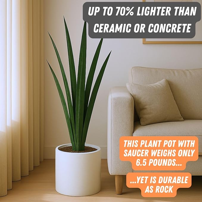 Fox & Fern Large Planter for Indoor or Outdoor, Matte White, 10 Inch | UV & - Image 4