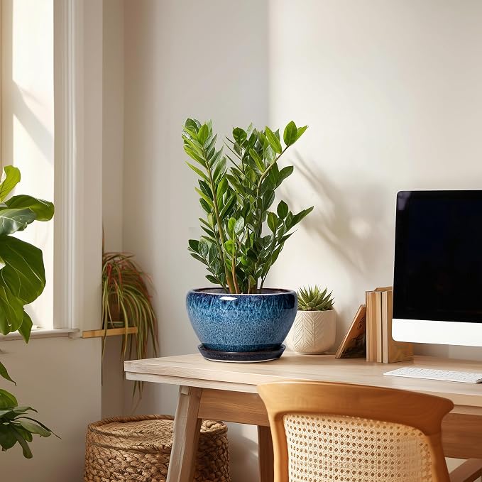 Ceramicfor Ceramic Pots for Plants - Image 7