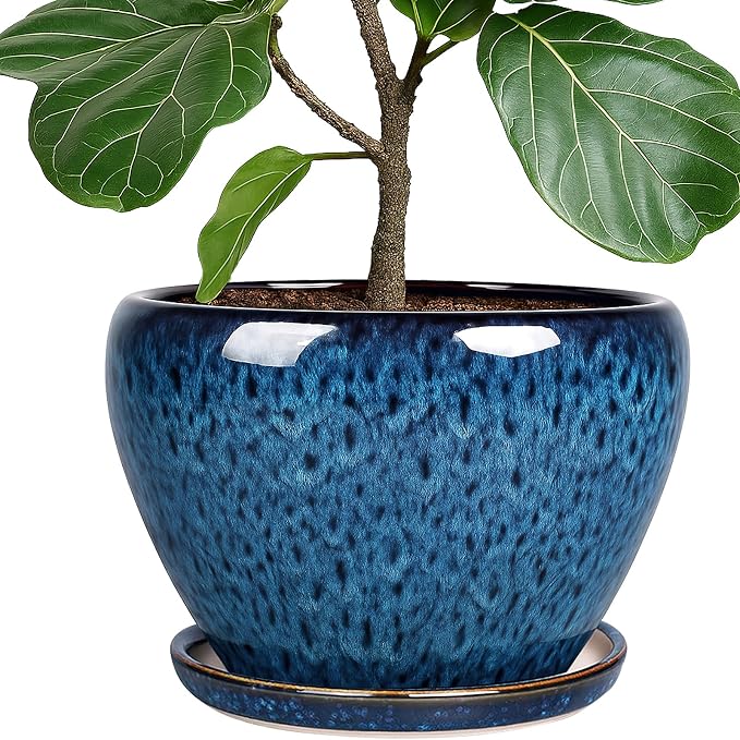 Deep Dream 10 Inch Plant Pot- Ceramic Planter Pot Round Plant Pots by DeepDream