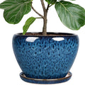 Deep Dream 10 Inch Plant Pot- Ceramic Planter Pot Round Plant Pots by DeepDream