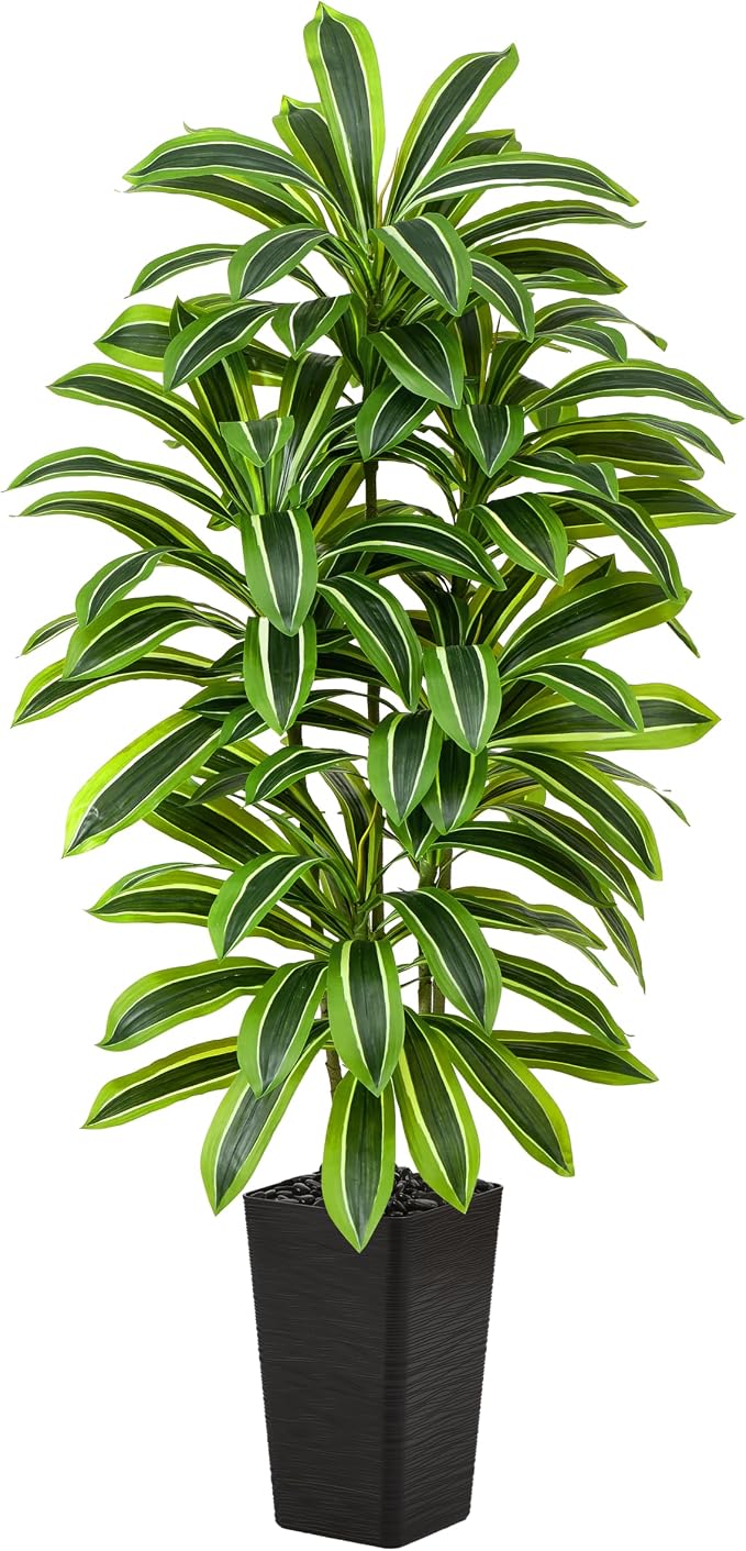 Artificial Dracaena Tree: 6FT Fake Plants Silk Faux Trees（Black Pot） | by TNGGNT