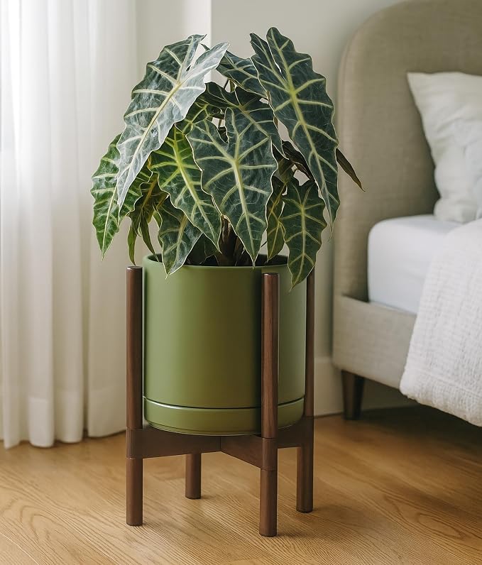 D'vine Dev Ceramic Pot with Walnut Wood Stand, 10 in, 55-B-X-J | Mid-Century - Image 4