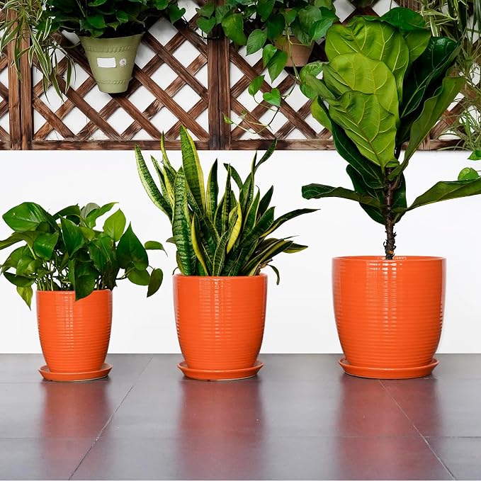 12 Inch Plant Pot, Ceramic Planters - Image 7