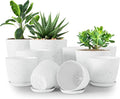 Plant Pots Indoor with Drainage 10 Pack Multi-Size Planters Set Spotty Grey | by UTOPIAHOME
