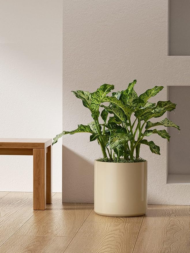 LE TAUCI 12 Inch Pot for Plants, Ceramic Planters for Indoor Plants, - Image 6