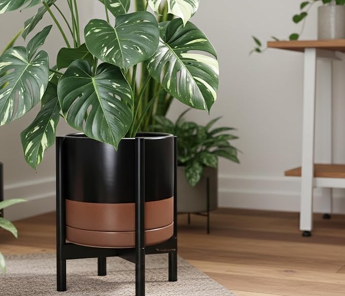D'vine Dev Ceramic Pot with Ebony Wood Stand, 14 in, 55-B-S-7 | Mid-Century - Image 2