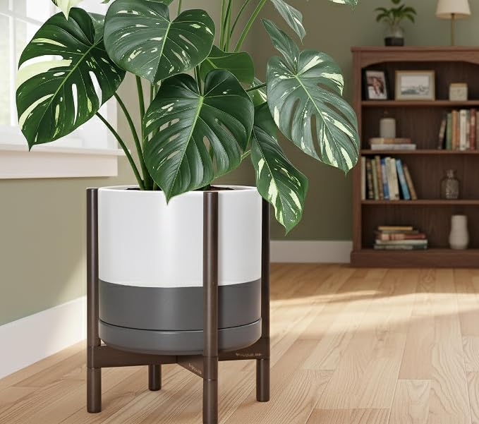 D'vine Dev Ceramic Pot with Walnut Wood Stand, 14 in, 55-B-T-6 | Mid-Century - Image 6