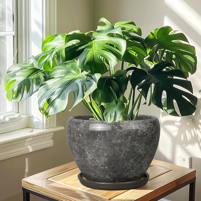 Ceramicfor Ceramic Planters for Indoor Plants - Image 5