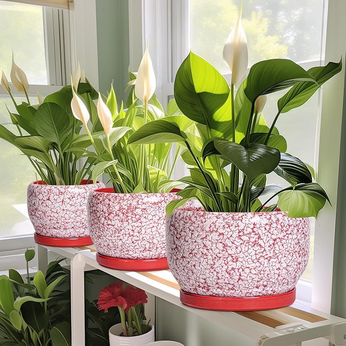 SQOWL Ceramic Planters for Indoor Plants - Image 6