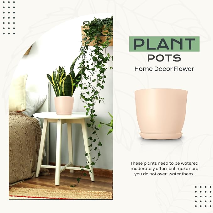 Plant Pots Indoor with Drainage, 10 Pack Multi-Size Planters Set - Image 4