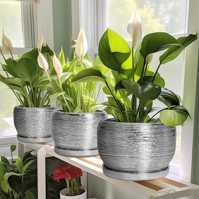 SQOWL Ceramic Plant Pots - Image 5