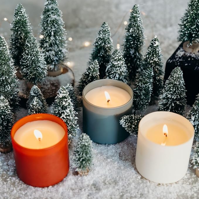 Dignity Series Apples & Maple Bourbon Scented Candle | 35 Hour Burn - Image 7