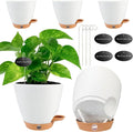 6" Self Watering Pots for Indoor Plants, Drainage Holes & Detachable Trays by Fielda