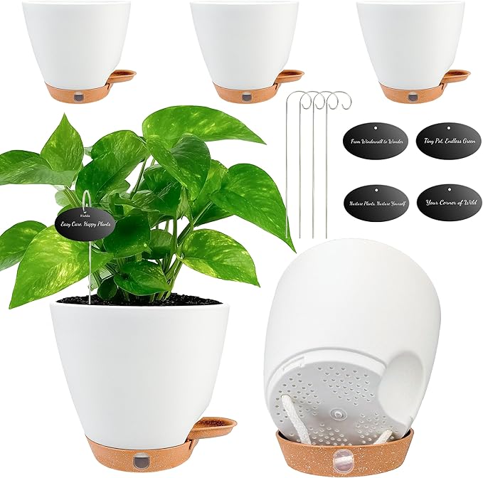 6" Self Watering Pots for Indoor Plants, Drainage Holes & Detachable Trays by Fielda