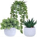 Winlyn 3 Pcs Assorted Small Potted Succulent Plants Artificial Aloe Hanging by Winlyn