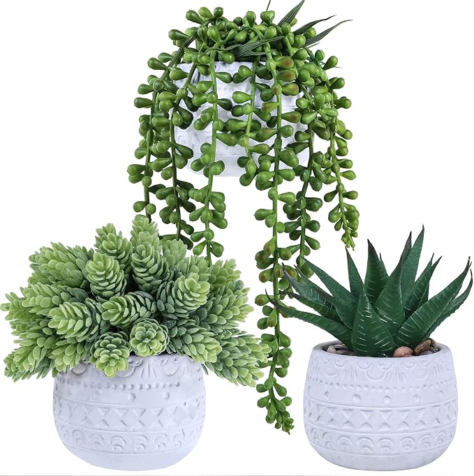 Winlyn 3 Pcs Assorted Small Potted Succulent Plants Artificial Aloe Hanging by Winlyn