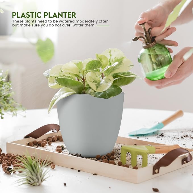 Plant Pots Indoor with Drainage, 5 Pack Multi-Size Planters Set - Image 4