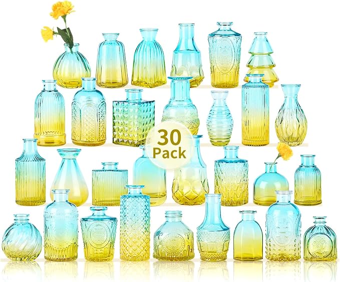 Glass Bud Vases in Bulk Set of 30 Pcs, Small Glass Vases by earthgadgets