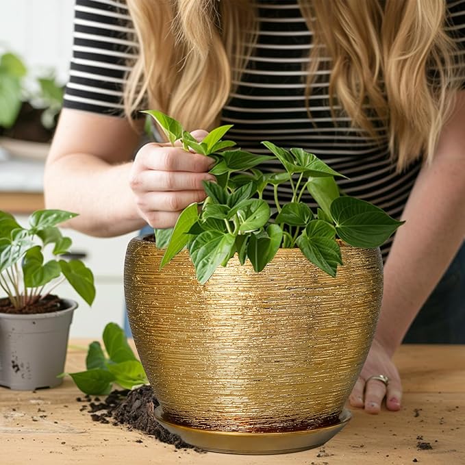 Ceramicfor Ceramic Plant Pot 8 Inch - Image 7