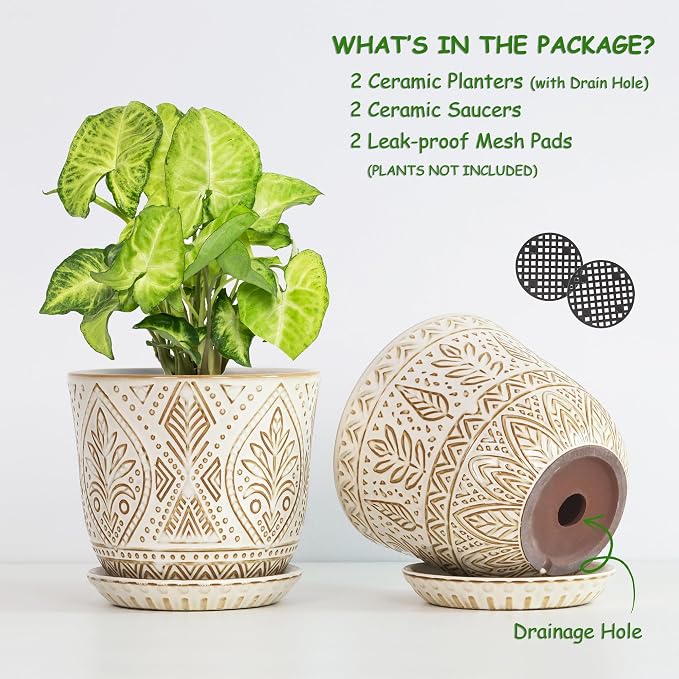 Gepege Ceramic Plant Pots, 6 Inch Indoor Planters - Image 3