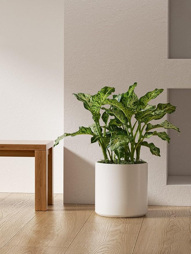 LE TAUCI 12 Inch Pot for Plants, Ceramic Planters for Indoor Plants, - Image 7