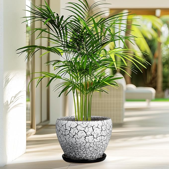 Ceramicfor Ceramic Plant Pot 8 Inch - Image 7