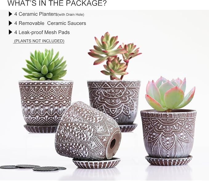 Gepege Ceramic Succulent Pots, 4 Inch Small Plant Pots - Image 3