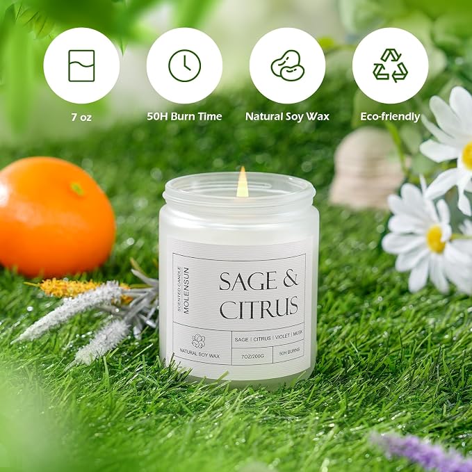 Molensun Sage Citrus Scented Candle, Soy Wax 7 oz | Fresh sage and citrus - Image 3