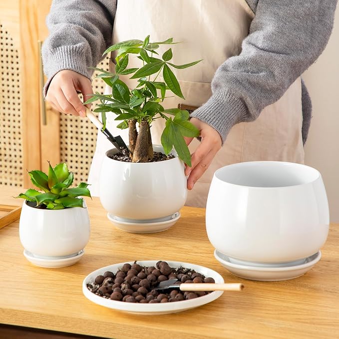 vancasso 3-Pack Ceramic Plant Pots, 3.7/4.8/6.2 Inch Indoor Planters - Image 4