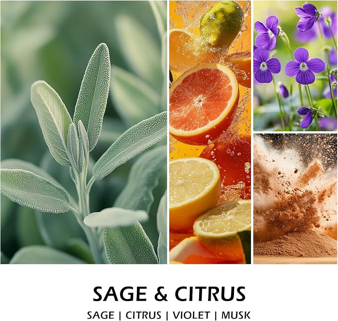 Molensun Sage Citrus Scented Candle, Soy Wax 7 oz | Fresh sage and citrus - Image 2