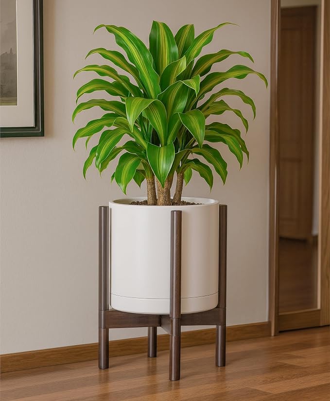 D'vine Dev Ceramic Pot with Walnut Wood Stand, 12 in, 55-B-W-8 | Mid-Century - Image 7