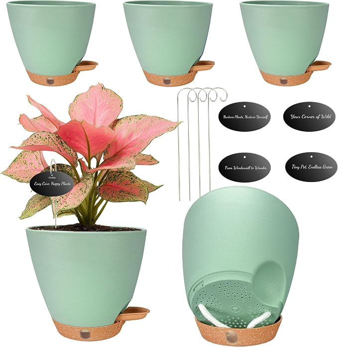 6 Inch Small Plant Pots for Indoor Outdoor Plants, Self Watering | Plastic by Fielda