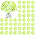 Auihiay 64Pcs Green Hydrangea Flowers, Silk Hydrangeas | by Auihiay