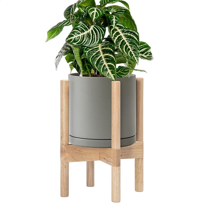 D'vine Dev Ceramic Pot with Natural Wood Stand, 8 in, 55-B-N-3 | Mid-Century by DvineDevPlanterPotsandStand