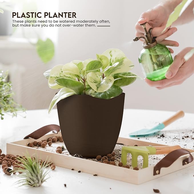 Plant Pots Indoor with Drainage, 5 Pack Multi-Size Planters Set - Image 4