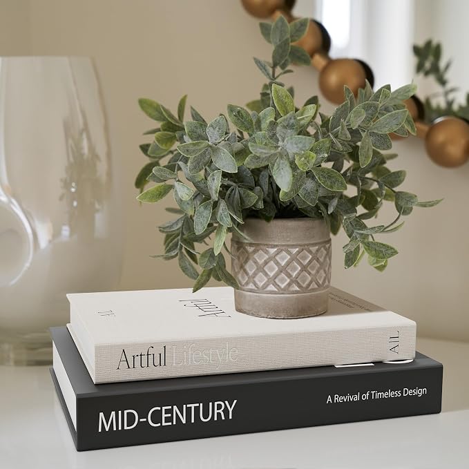 Aesthetic Decorative Books Set of 2 - Image 4
