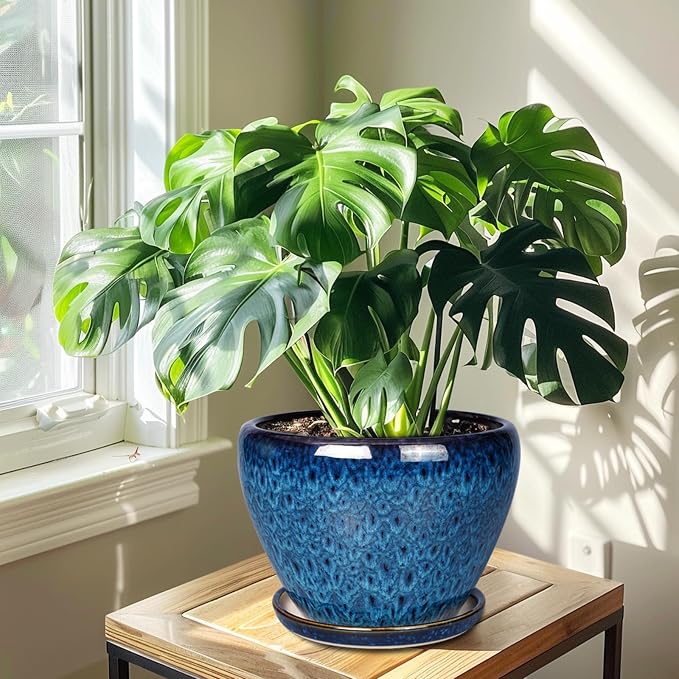 Ceramicfor 10 Inch Ceramic Planter Pot, Ceramic Plant Pot - Image 4