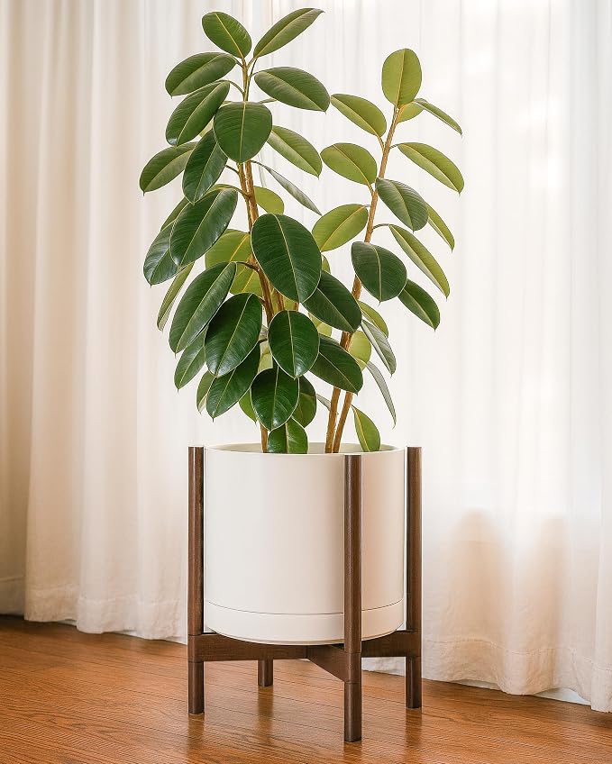 D'vine Dev Ceramic Pot with Walnut Wood Stand, 14 in, 55-B-T-8 | Mid-Century - Image 6