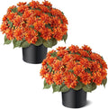 2 Set Fall Artificial Dahlia Topiary Ball Trees by VIERENA