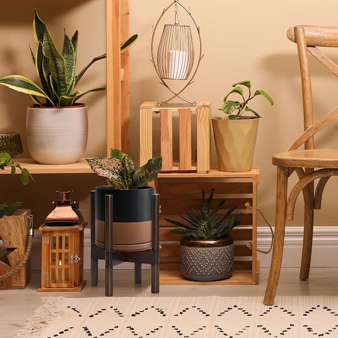 D'vine Dev Ceramic Pot with Walnut Wood Stand, 8 in, 55-B-Y-7 | Mid-Century - Image 6