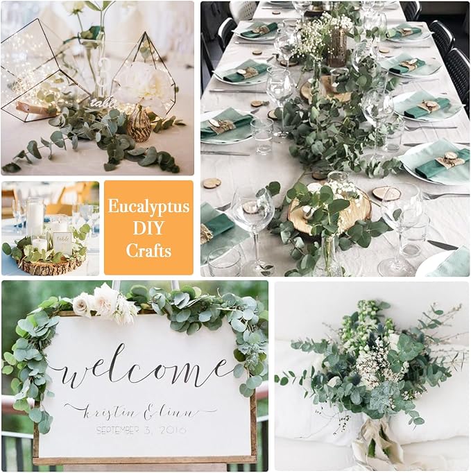 36 PCS Dried Eucalyptus for Shower Hanging 17 Preserved Eucalyptus Stems | - Image 4