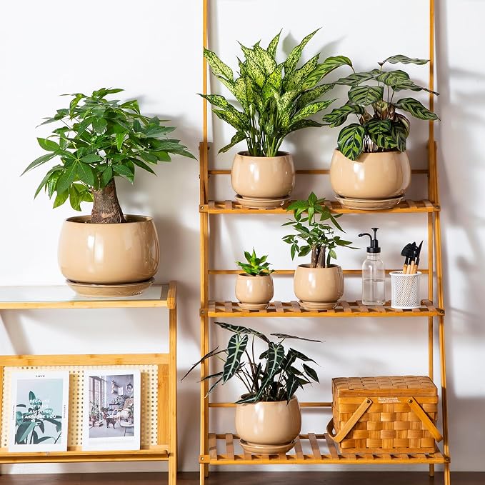 vancasso 3-Pack Ceramic Plant Pots, 7.3/9.6/11.6 Inch Indoor Planters - Image 9