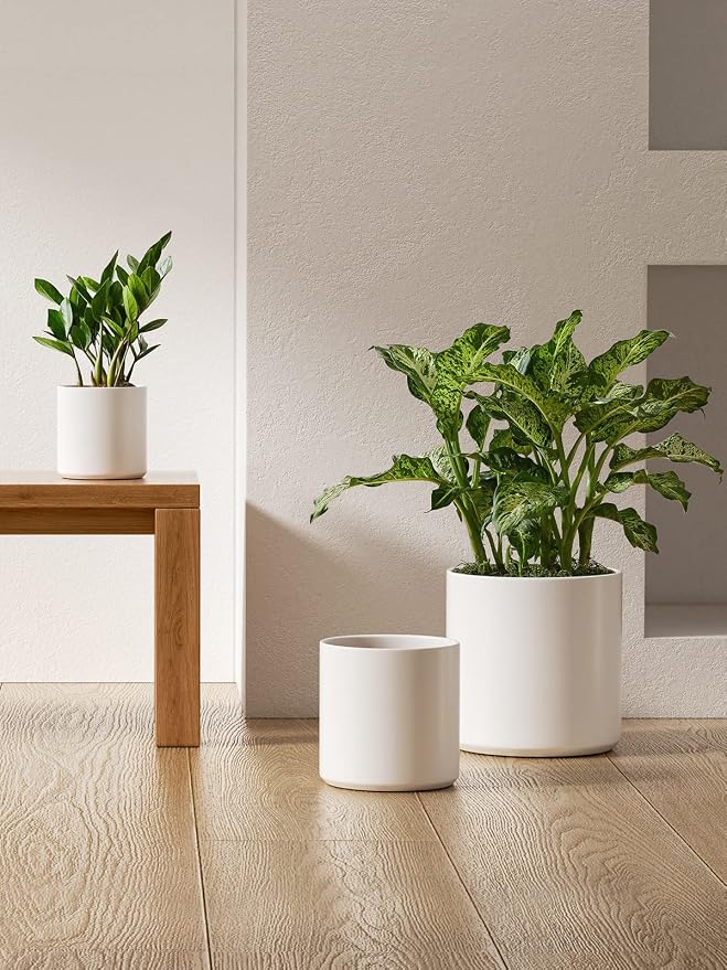 LE TAUCI 10+8+6 Inch Ceramic Pots - Image 2
